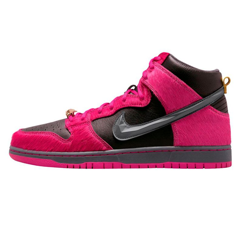 BOTAS HOMBRE NIKE SB DUNK HIGH QS Exit