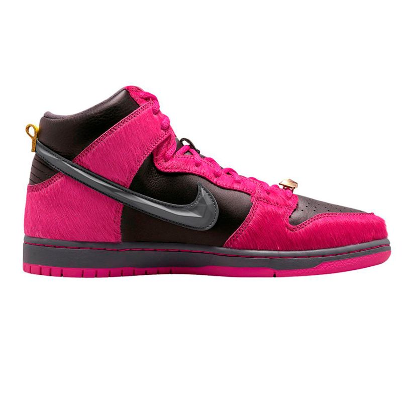 BOTAS HOMBRE NIKE SB DUNK HIGH QS Exit