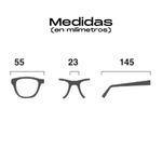 109171_2-1-