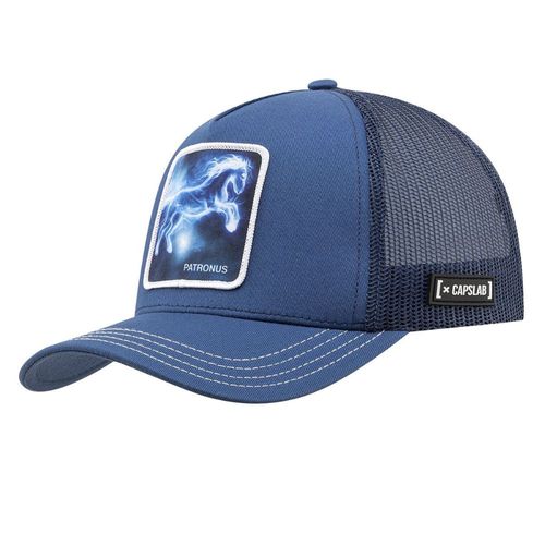Gorra Unisex Capslab Harry Potter Patronus
