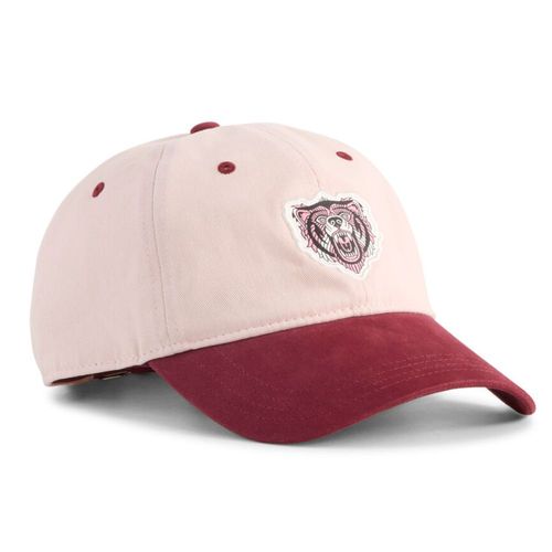 Gorra Puma Graphic Dad